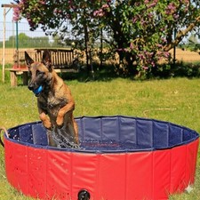 Piscina per cani 80cm - cani,