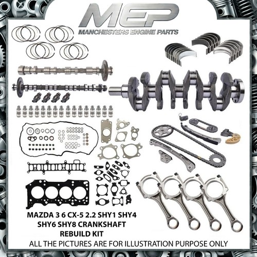 Kit ricostruzione albero - kit,