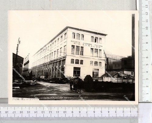 Lia gio ansaldo - ansaldo, genova