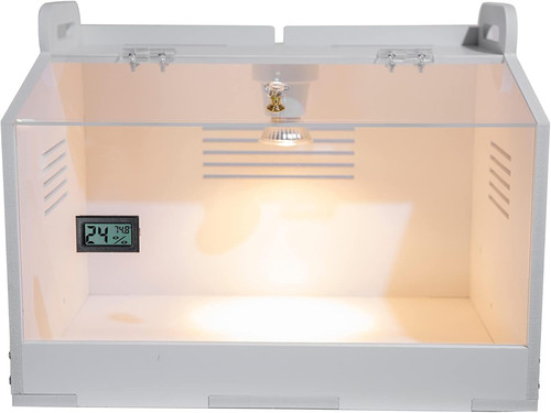 Smart chicken brooder egg - chicken,