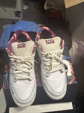 Nike SB Dunk Low Parra Size 13