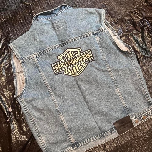 Harley davidson gilet uomo blu - gilet,