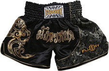Muay Thai Shorts, MMA Fight