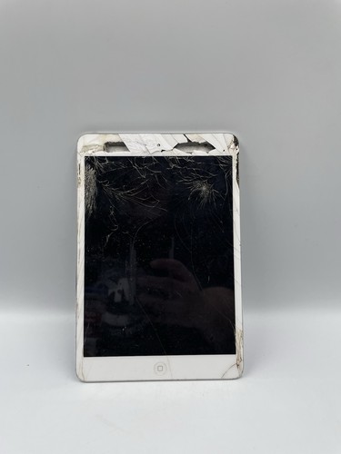 Apple ipad mini - apple, schermo