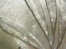 2 LIRE 1957 ERRORE - MANCANZA