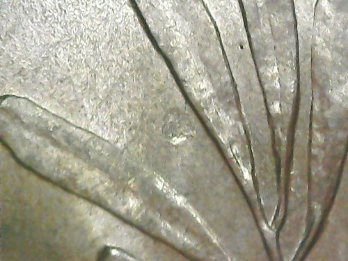 Lire 1957 errore mancanza - 2,