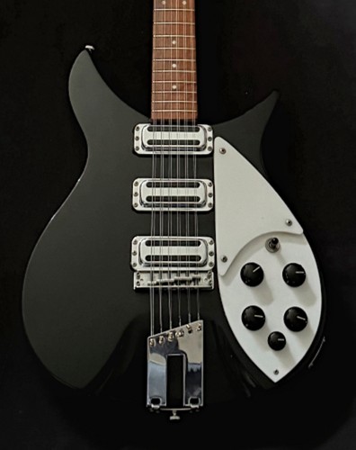 Rickenbacker 350 12st chitarra - 12st,