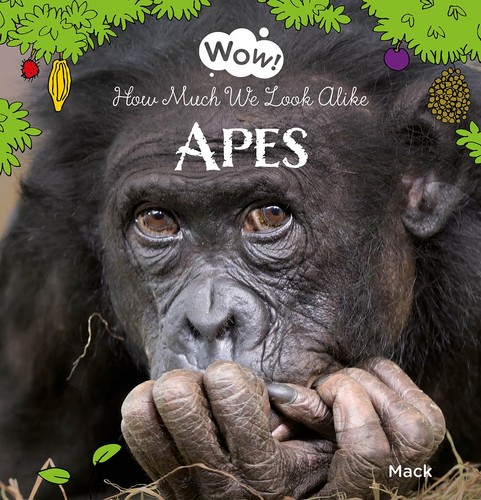 Wow apes how - wow!, look