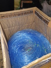 palamito merluzzo 100 ami