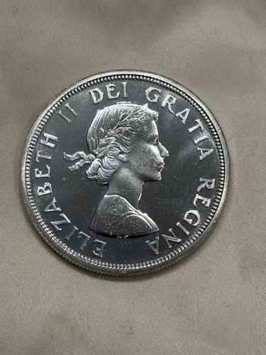 Splendido dollaro canadese