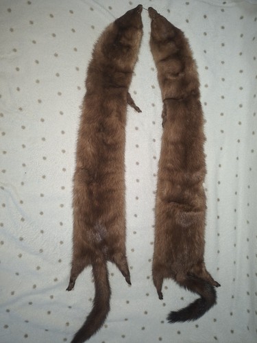 Collo vera pelliccia - collo,