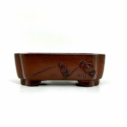 Vaso bonsai premium yixing - vaso,