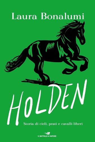 Libro holden storie cieli - holden, di