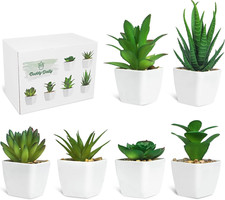 6 Pezzi Di Piante Succulente Artificiali in Vaso, Piante Succulente Artificiali 