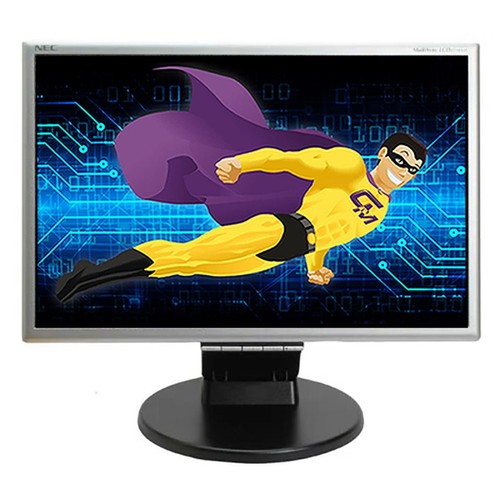 Ecran nec multisync - ecran, pc