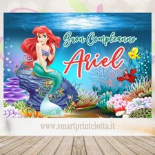 Striscione Banner Ariel
