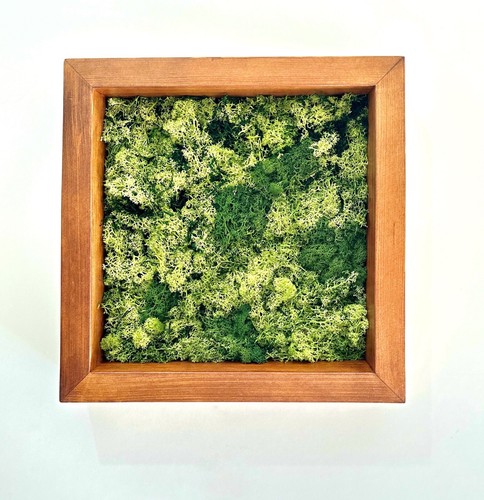 Quadro quadrato legno - quadro,