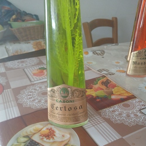 Liquore certosa casoni - liquore,