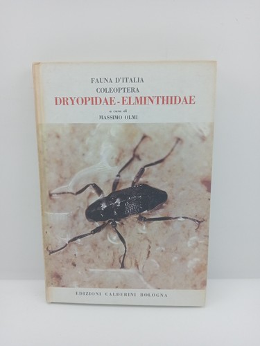 Dryopidae elminthidae - dryopidae,