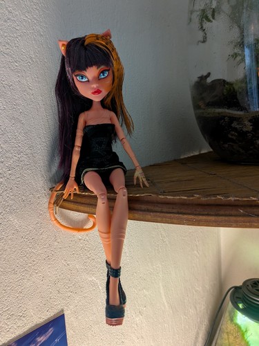 Poupée monster high - monster,