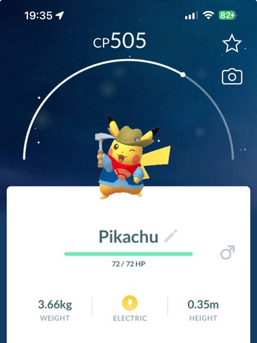 Costume pikachu escavatore - costume,