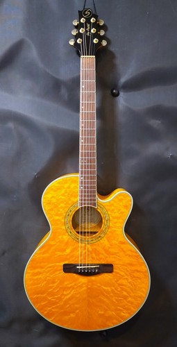 Samick greg bennett - samick, design