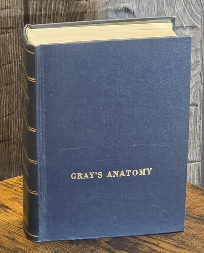 Gray anatomy 28th edition - anatomy,
