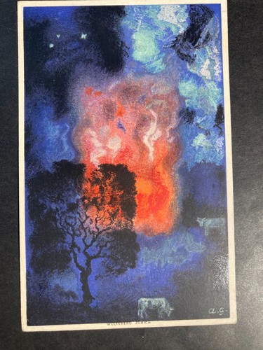 Svizzera 1923 cartolina festa