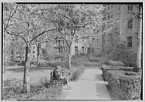 Long island city - long, phipps