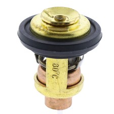 Thermostat 3R3-01030-0  60°C