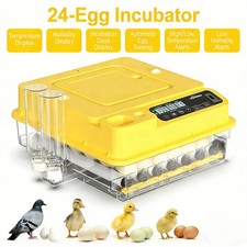 Incubatrice 24 Uova