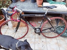 Bici corsa wilier triestina - da,