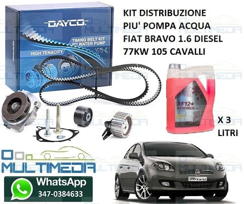 Kit distribuzione pompa - kit, acqua