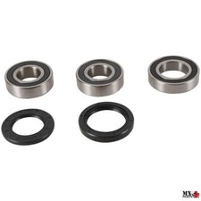 KIT CUSCINETTI RUOTA POSTERIORE KAWASAKI ZX600 (ZX-6R) (636) 2003-2004 PIVOT ...