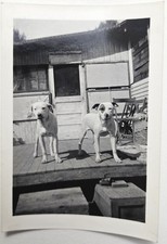 Foto d'epoca ritrovata anni