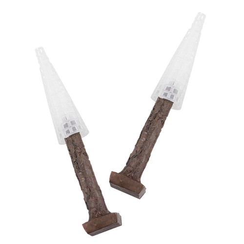 2pz pianta albero acquario - 2pz,