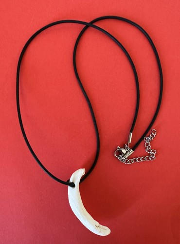 Collana particolare con dente - collana,