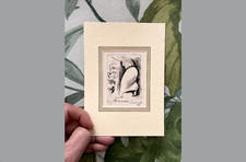 PIETRO ANNIGONI:  INCISIONE