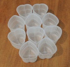 30 Fuscelle fuscella