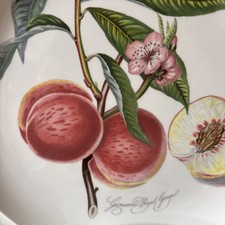Piatti frutta portmeirion - 4,