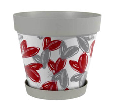 VASO PIANTE GRASSE FIORI SEMI