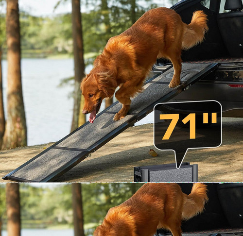 Petthem rampa per cani - petthem,