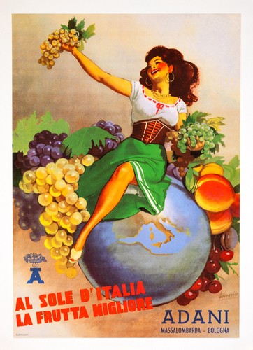 Adani frutti poster italiano - frutti,