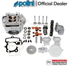 119.0091 KIT POLINI TESTA 4