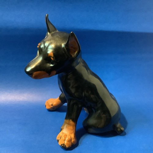 Goebel doberman cucciolo - goebel,