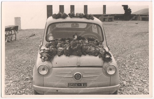Rppc italia anni 60 - rppc, caccia