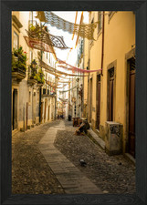 Coimbras Flying Doily XI