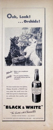 Vintage 1940s print black - 1940s,