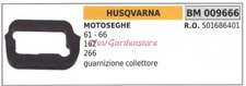 Guarnizione Collettore