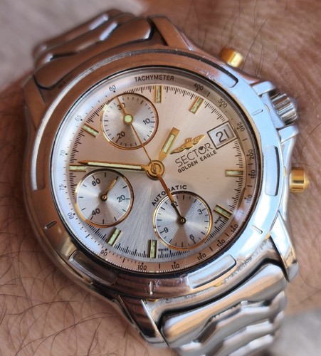 Orologio sector golden eagle - golden,